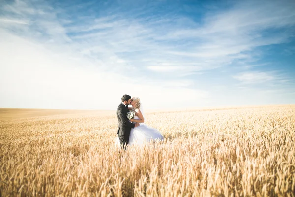 Belo casal no campo, Amantes ou recém-casados posando com céu azul perfeito — Fotografia de Stock