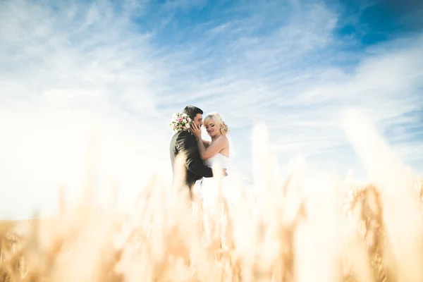Элегантная стильная счастливая блондинка невеста и великолепный жених позирует на пшеничном поле на фоне голубого неба — стоковое фото