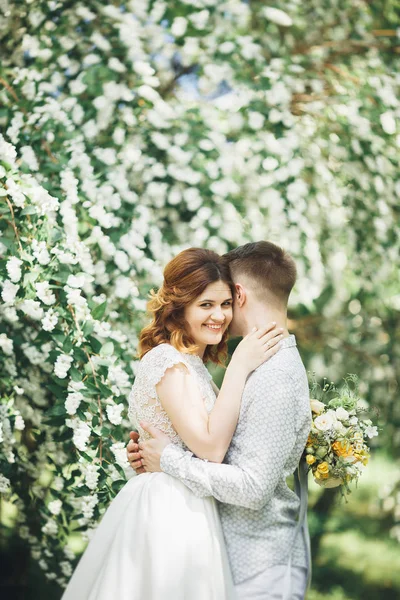 Joyeux couple de mariage marchant dans un parc botanique — Photo