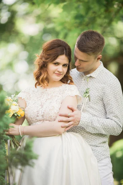 Beau couple de mariage romantique de jeunes mariés câlins dans le parc au coucher du soleil — Photo