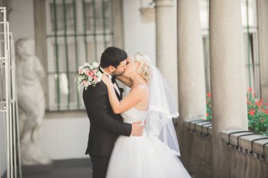 Lüks evli çift, gelin ve damat eski şehirde poz veriyor.