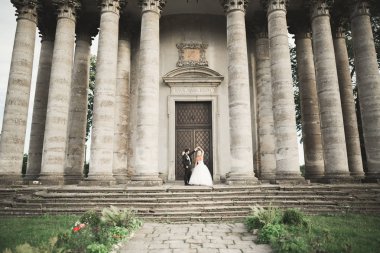 Mutlu düğün kaç sarılma ve öpüşme üzerinde arka plan eski kale