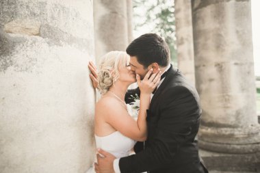 Bahar mevsiminde öpüşen düğün çifti. Yakın plan portre.