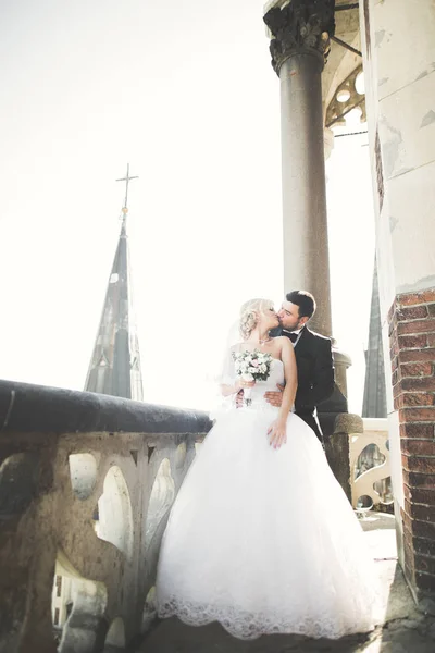 Besos boda pareja estancia sobre hermoso paisaje —  Fotos de Stock