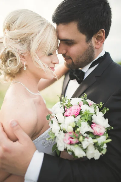 Preciosa pareja joven novia y novio en el fondo de la puesta del sol. Hermoso cielo —  Fotos de Stock