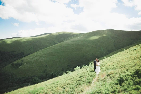 Hermosa novia fabulosa feliz y elegante novio posando en el fondo de las impresionantes montañas soleadas —  Fotos de Stock