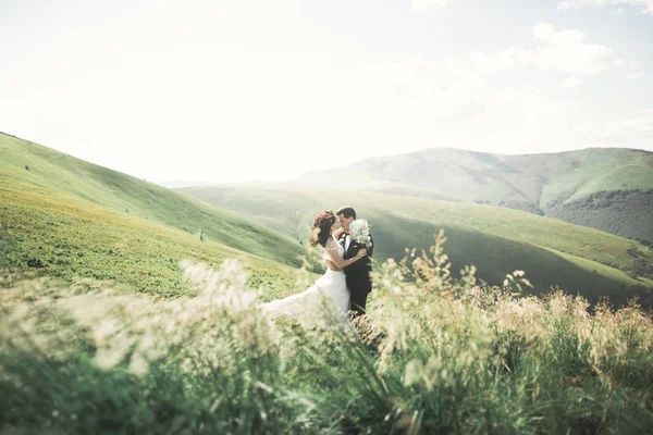 Целовать свадебную пару останавливаясь над красивым ландшафтом — стоковое фото