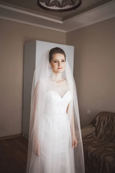 結婚式の朝にファッション ベールを持つ美しい花嫁の肖像画。ドレス — ストック写真