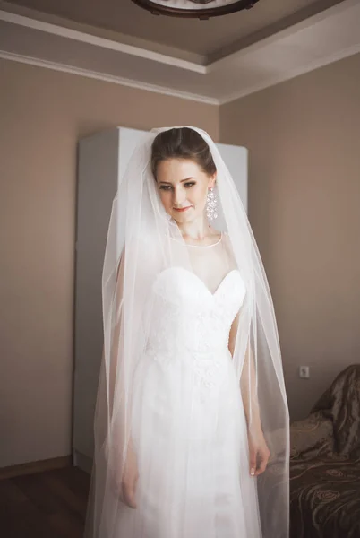 Portrait of beautiful bride with fashion veil at wedding morning.  dress — Stock Photo, Image