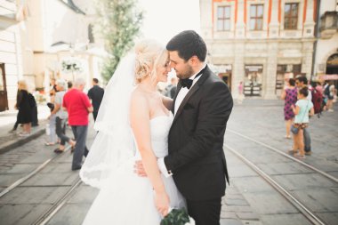 Mükemmel bir çift gelin ve damat düğün günlerinde poz verip öpüşürler.