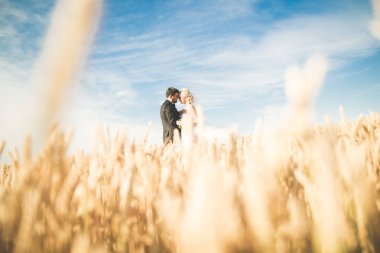 Şık şık mutlu sarışın gelin ve muhteşem damat buğday alan arka plan mavi gökyüzüne üzerinde poz