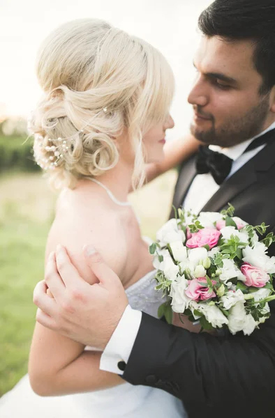 Groom tient et embrasse sa mariée sur le coucher du soleil arrière-plan — Photo