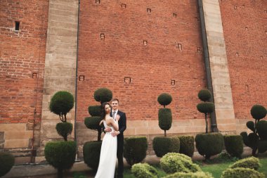 Şık Loving düğün çift öpüşme ve park Çin Seddi fon karşı sarılma