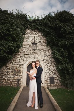 Zarif güzel düğün çift, gelin ve damat çalılar duvarına yakın park poz