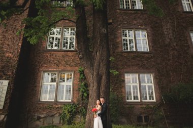 Zarif güzel düğün çift, gelin ve damat çalılar duvarına yakın park poz