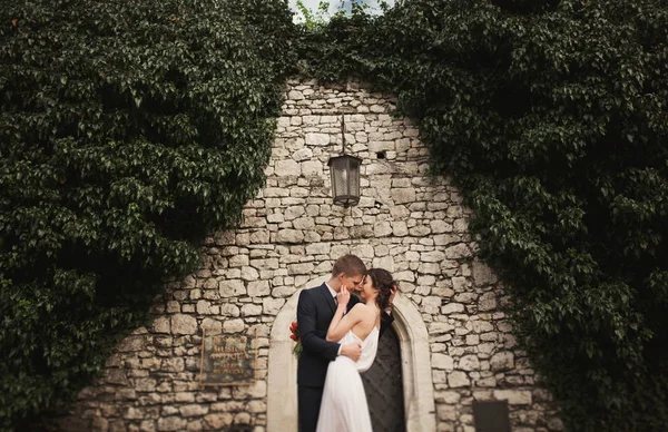 Elegante mooie bruidspaar, bruid en bruidegom poseren in park in de buurt van een muur van struiken — Stockfoto