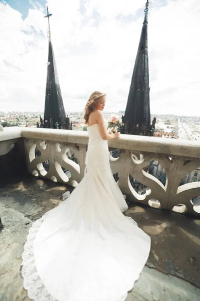 Beautiful luxury bride on the balcony with perfect landscape — Stock Photo, Image