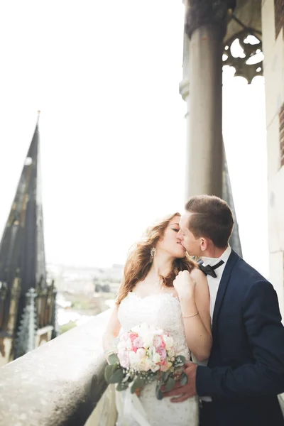 Stylish beautiful wedding couple kissing and hugging on background panoramic view of the old town — Stock Photo, Image