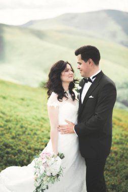 Güzel, mutlu gelin ve şık damat güneşli, çarpıcı dağların arka planında poz veriyor.