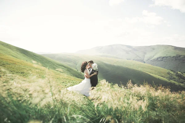 Baciare coppia di nozze soggiornando su un bellissimo paesaggio — Foto Stock