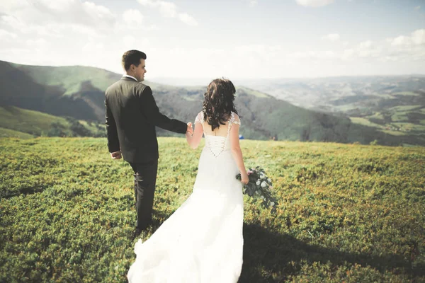 Mladí svatební pár v lásce, drželi se za ruce na pozadí hor — Stock fotografie
