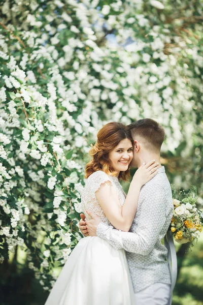 Joyeux couple de mariage marchant dans un parc botanique — Photo