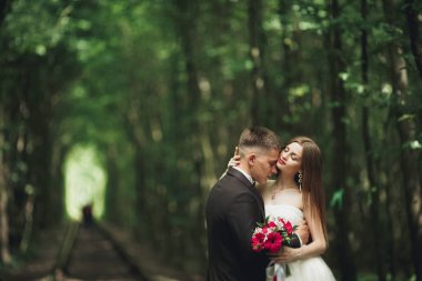 lüks şık genç gelin ve damat üzerinde arka plan bahar güneşli yeşil orman