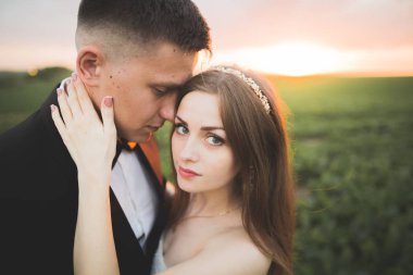 Düğün, güzel romantik gelin ve damat öpüşme günbatımında kucaklayan