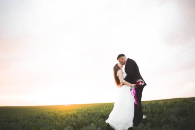 Güzel çift genç gelin ve damat günbatımı arka plan üzerinde. Güzel gökyüzü