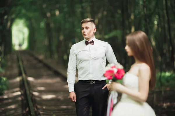 Muhteşem gülümseyen damat. Yakışıklı bir paketindeki — Stok fotoğraf