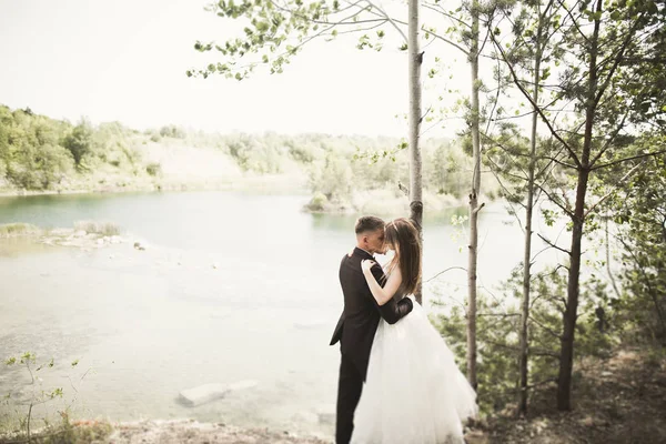 結婚式のカップルで愛キスと抱擁近くの岩で美しい風景 — ストック写真