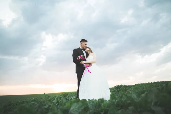 Casal encantador jovem noiva e noivo no fundo por do sol. Céu bonito — Fotografia de Stock