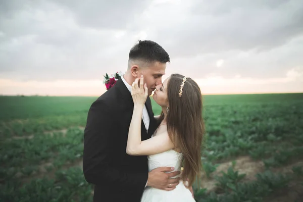 Vackra bröllopsparet, kärlek på solnedgången. Fielf med blommor — Stockfoto