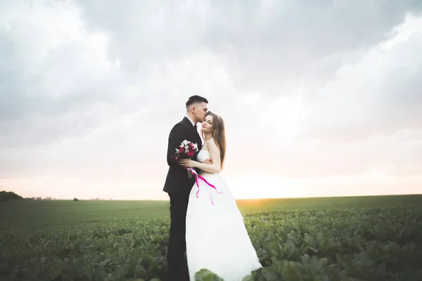 Joli couple jeune mariée et marié sur fond de coucher de soleil. Beau ciel — Photo