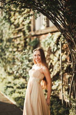 Uzun elbise dışında onun zaman içinde park günbatımı geçmiş zevk çekici genç kadın