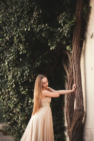 Menina bonita com cabelos longos posando perto da árvore em vavel Cracóvia — Fotografia de Stock