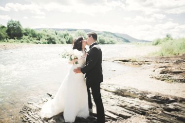 şık şık mutlu esmer gelin ve dağlarda güzel bir şelale arka plan üzerinde muhteşem damat