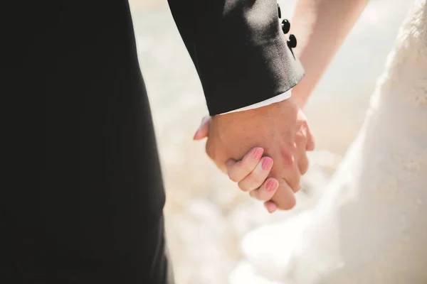 Boda pareja novia y novio de la mano — Foto de Stock