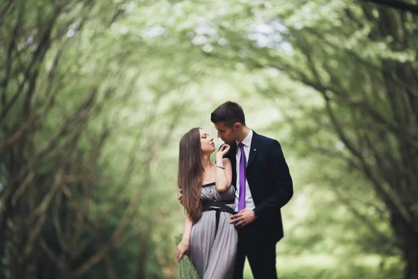 Jovem casal bonito, menina com vestido perfeito posando no parque — Fotografia de Stock