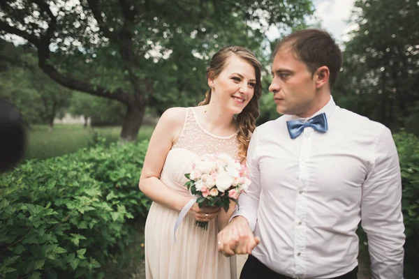 Hermosa pareja de boda en el parque. besarse y abrazarse —  Fotos de Stock