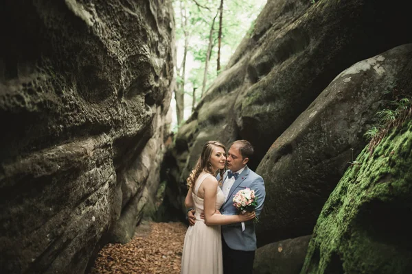 Underbara bröllop par kyssar och kramar i skogen med stora stenar — Stockfoto