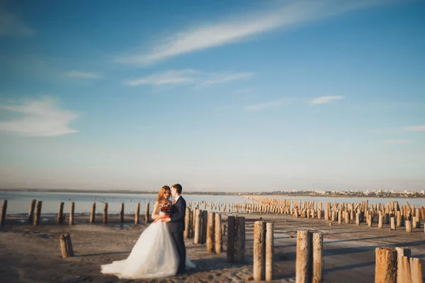 Elegante pareja de boda feliz elegante, novia, magnífico novio en el fondo del mar y el cielo — Foto de Stock