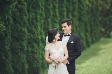 Botanik parkında yürüyen mutlu bir çift.