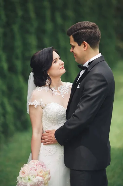 Pareja feliz boda caminando en un parque botánico — Foto de Stock