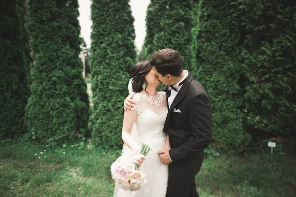 Romântico, conto de fadas, feliz casal recém-casado abraçando e beijando em um parque, árvores no fundo — Fotografia de Stock