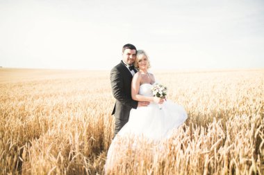 Alanına, aşık veya yeni evli ile poz güzel çift mavi gökyüzü mükemmel