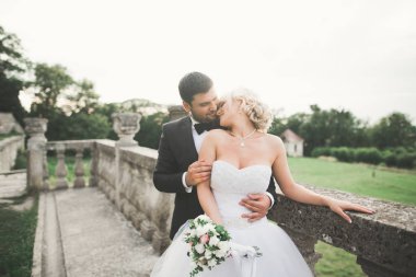 Mutlu düğün kaç sarılma ve öpüşme üzerinde arka plan eski kale