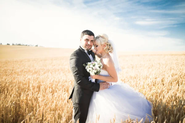 Beau couple de mariage, mariée et marié posant sur le champ de blé avec ciel bleu — Photo