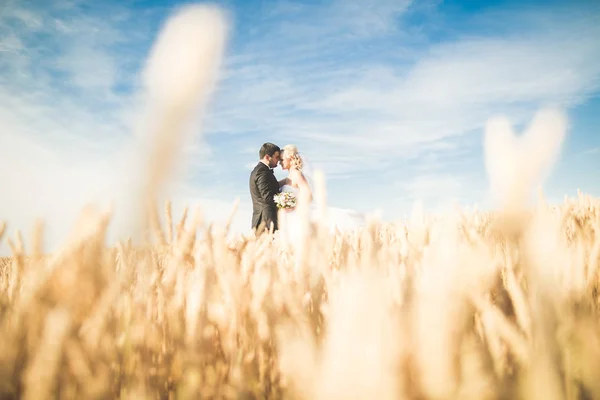 Emocional bela noiva abraçando noivo recém-casado em um campo closeup — Fotografia de Stock