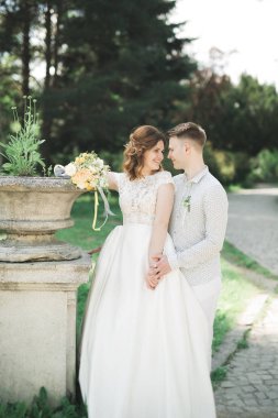 Güzel, romantik bir düğün. Yeni evliler. Eski kalenin yakınlarında sarılıyorlar.